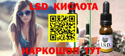 гидра Будённовск