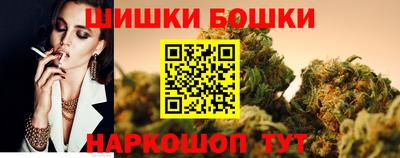гидра Будённовск