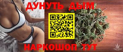 гидра Будённовск