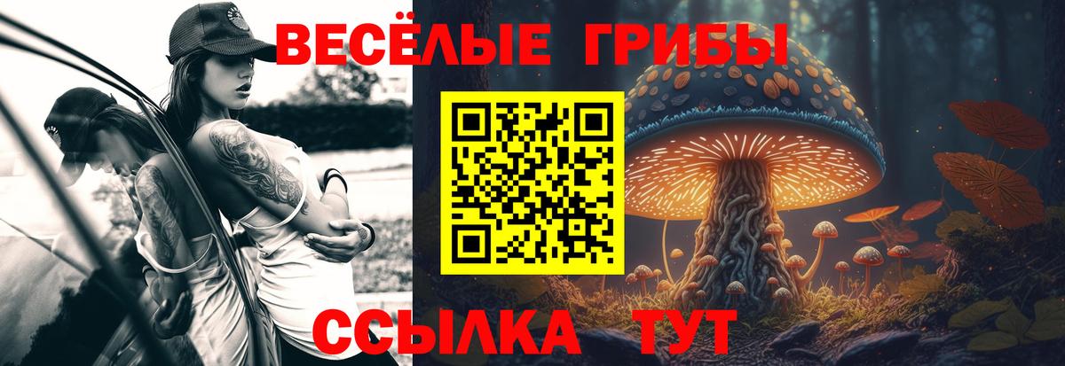 Псилоцибиновые грибы прущие грибы  Псилоцибиновые грибы мицелий  Вход с VPN  Химки 